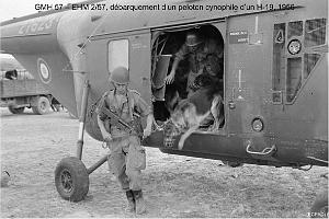 203- ARMEE DE L'AIR EN ALGERIE 1945-1962-51 (35)